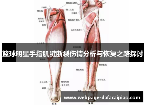 篮球明星手指肌腱断裂伤情分析与恢复之路探讨