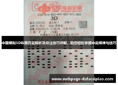 中国福利3D彩票开奖解析及投注技巧详解，助您轻松掌握中奖规律与技巧